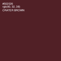 #502026 - Crater Brown Color Image